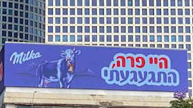 קמפיין מילקה, צילום: יח"צ
